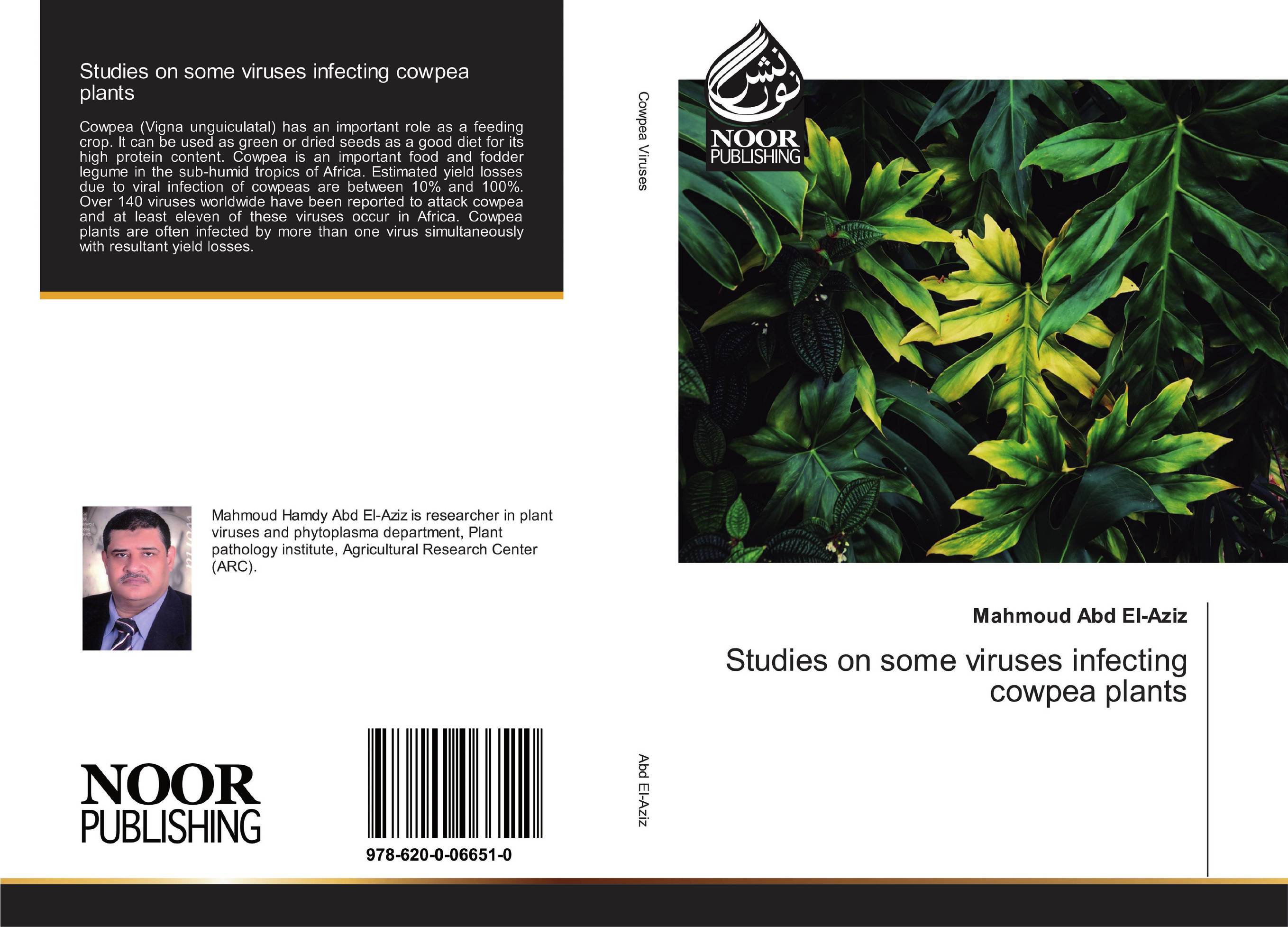 Studies on some viruses infecting cowpea plants..