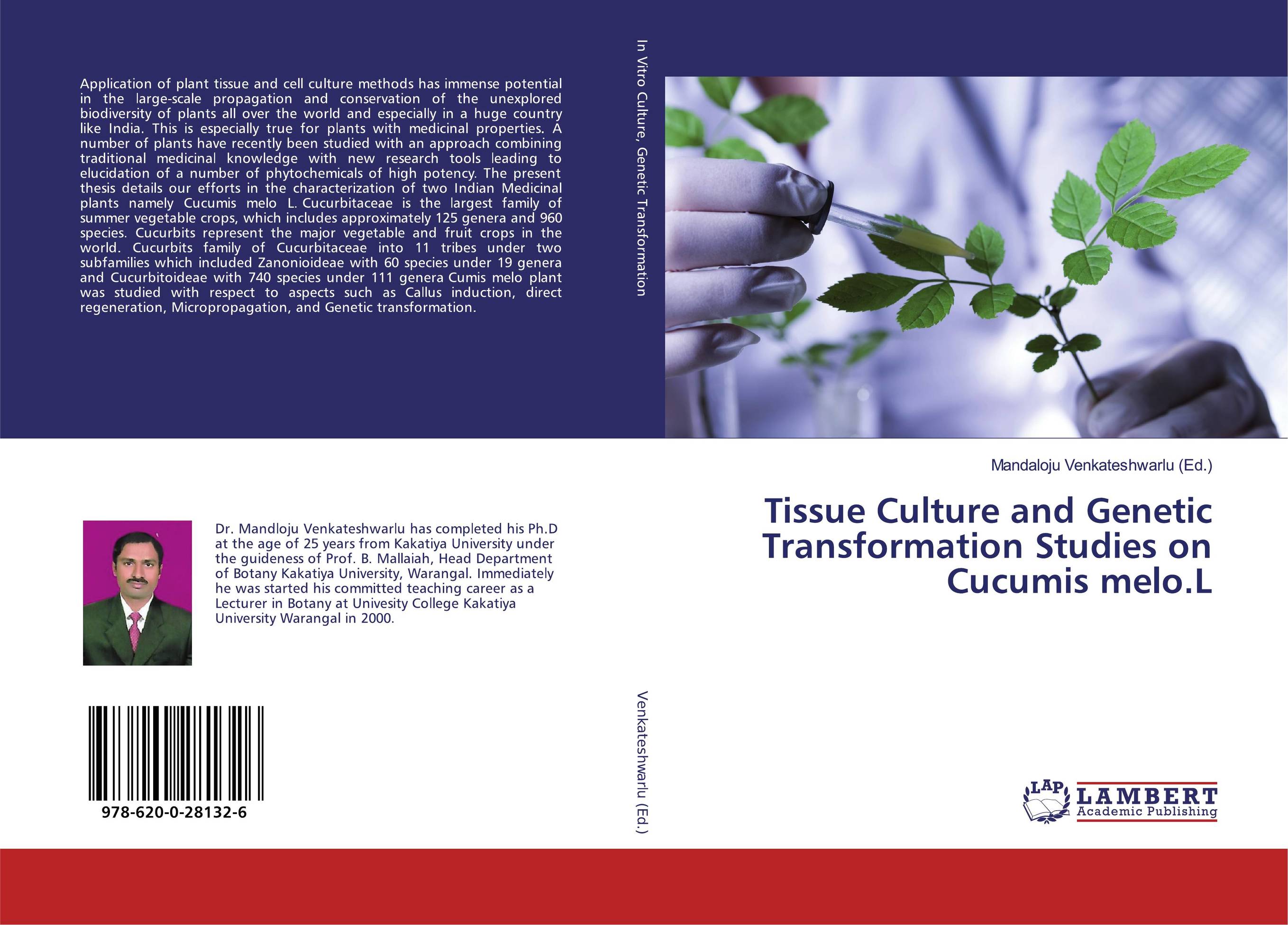 Tissue Culture and Genetic Transformation Studies on Cucumis melo.L..