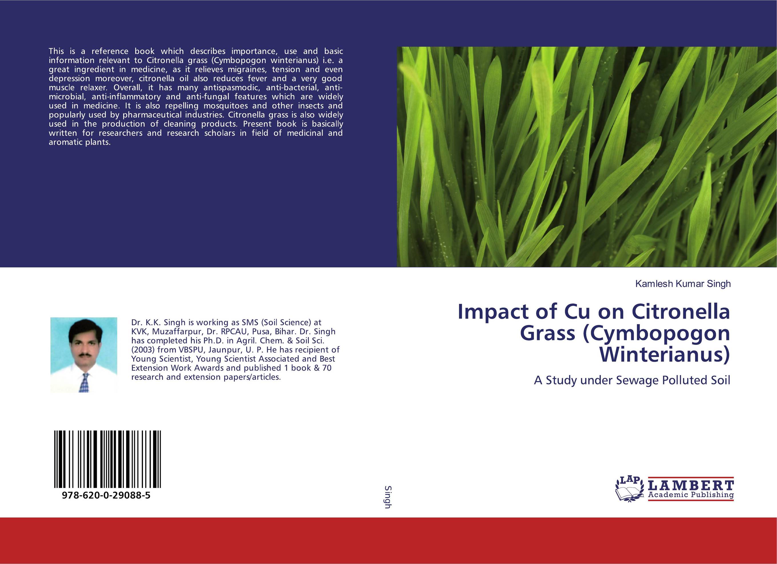 Impact of Cu on Citronella Grass (Cymbopogon Winterianus). A Study under Sewage Polluted Soil.