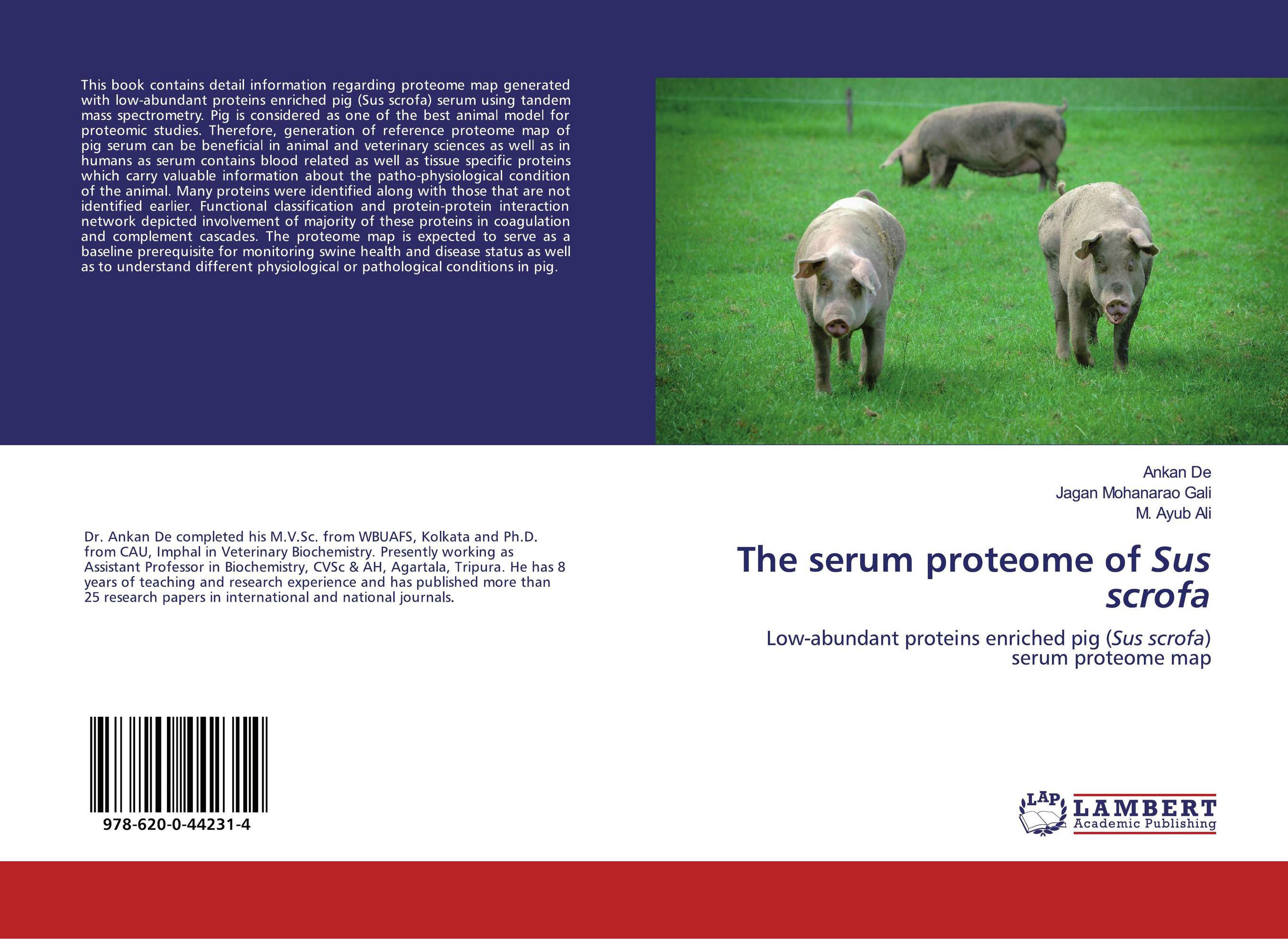 The serum proteome of Sus scrofa. Low-abundant proteins enriched pig (Sus scrofa) serum proteome map.