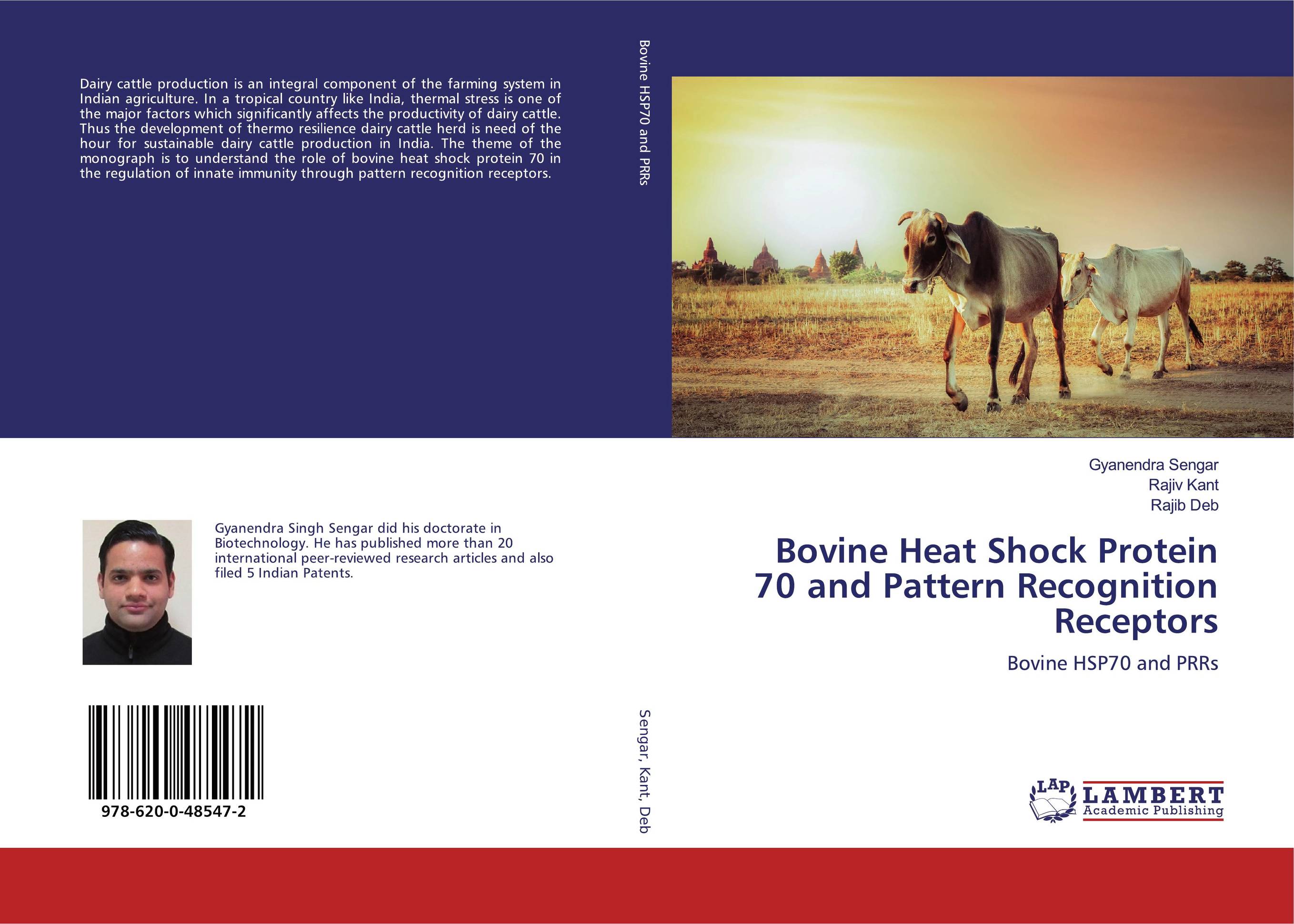 Bovine Heat Shock Protein 70 and Pattern Recognition Receptors. Bovine HSP70 and PRRs.