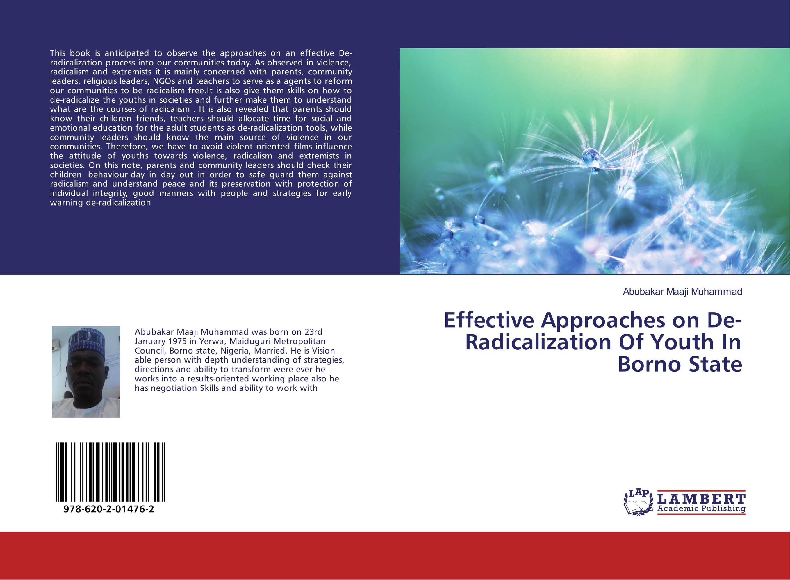 Effective Approaches on De- Radicalization Of Youth In Borno State..