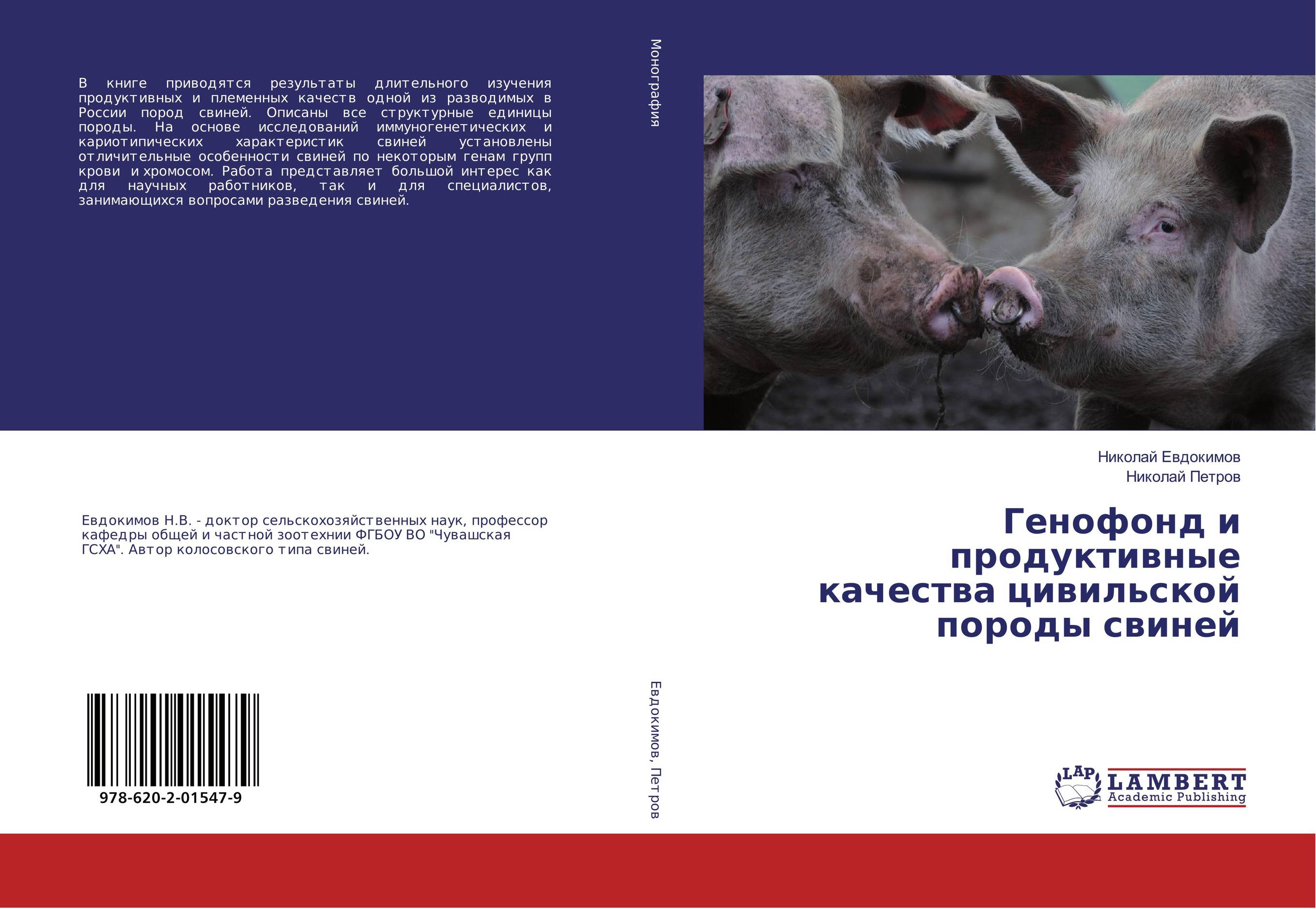 
        Генофонд и продуктивные качества цивильской породы свиней..
      