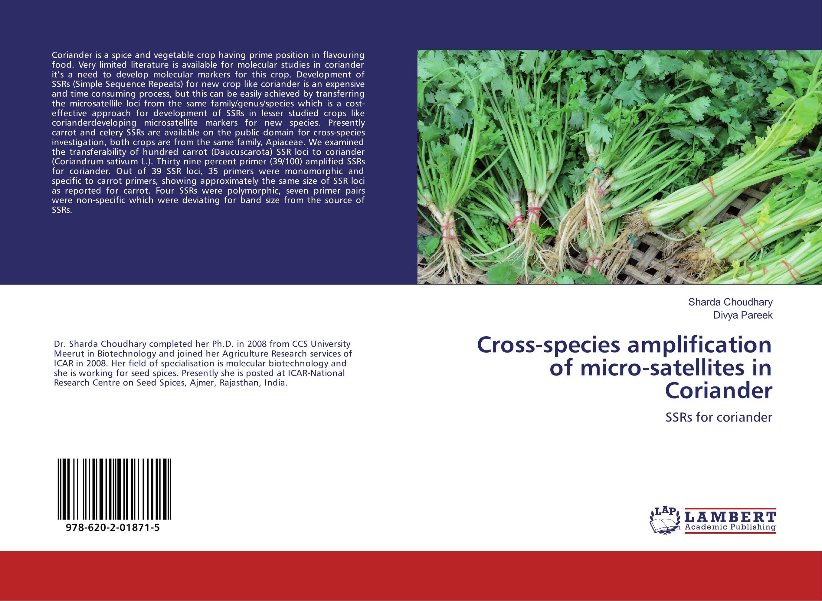 Cross-species amplification of micro-satellites in Coriander. SSRs for coriander.