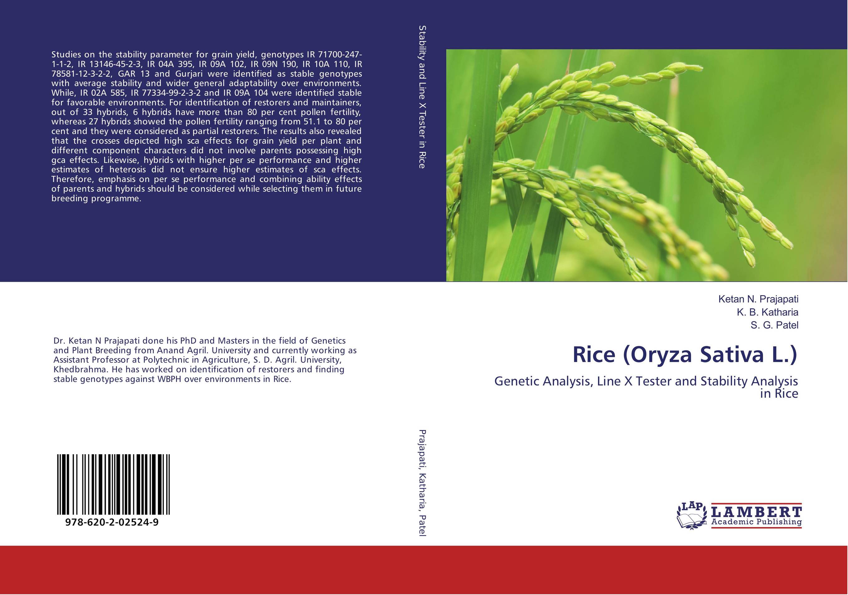 Rice (Oryza Sativa L.). Genetic Analysis, Line X Tester and Stability Analysis in Rice.