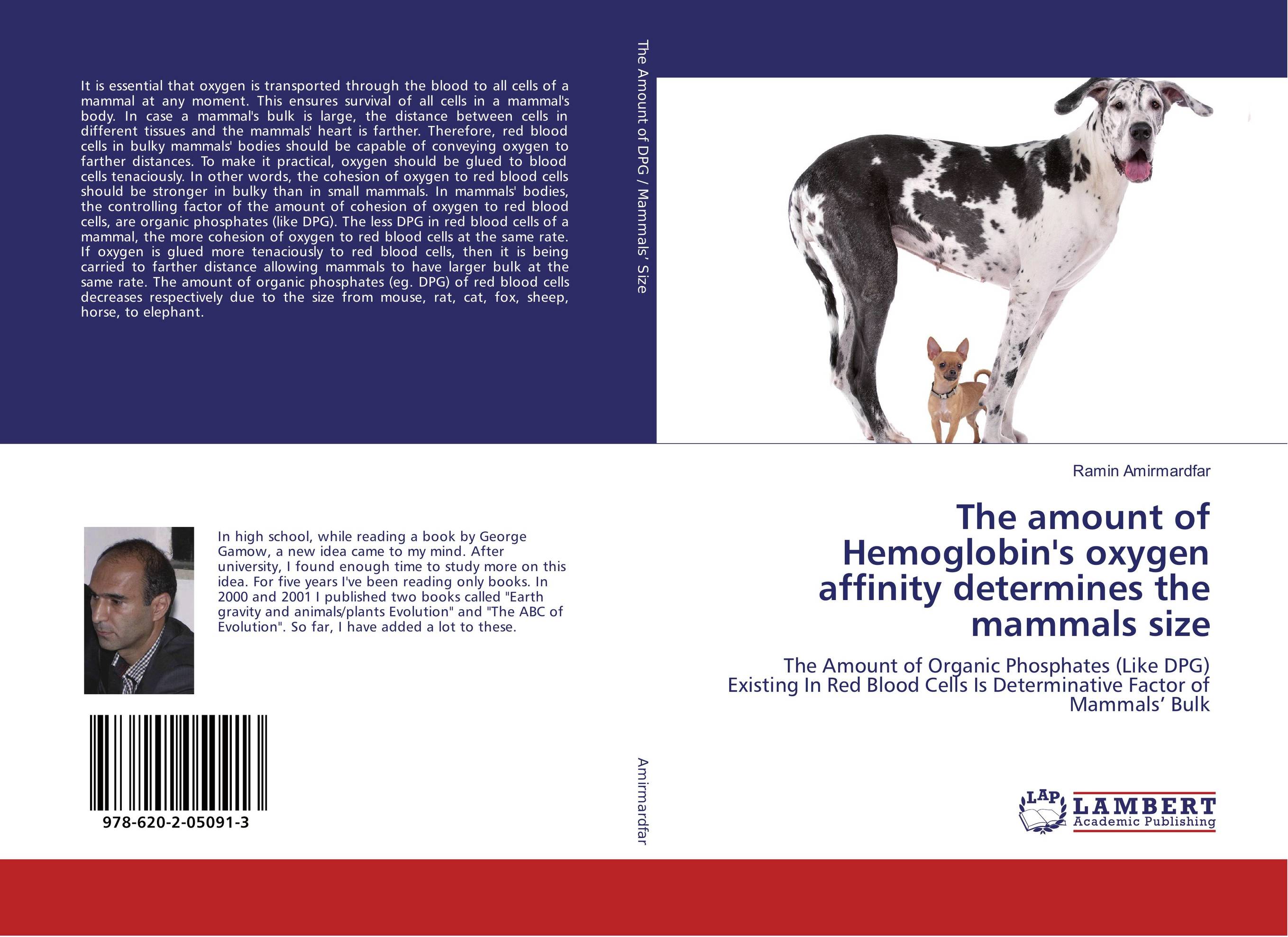 The amount of Hemoglobin's oxygen affinity determines the mammals size. The Amount of Organic Phosphates (Like DPG) Existing In Red Blood Cells Is Determinative Factor of Mammals’ Bulk.