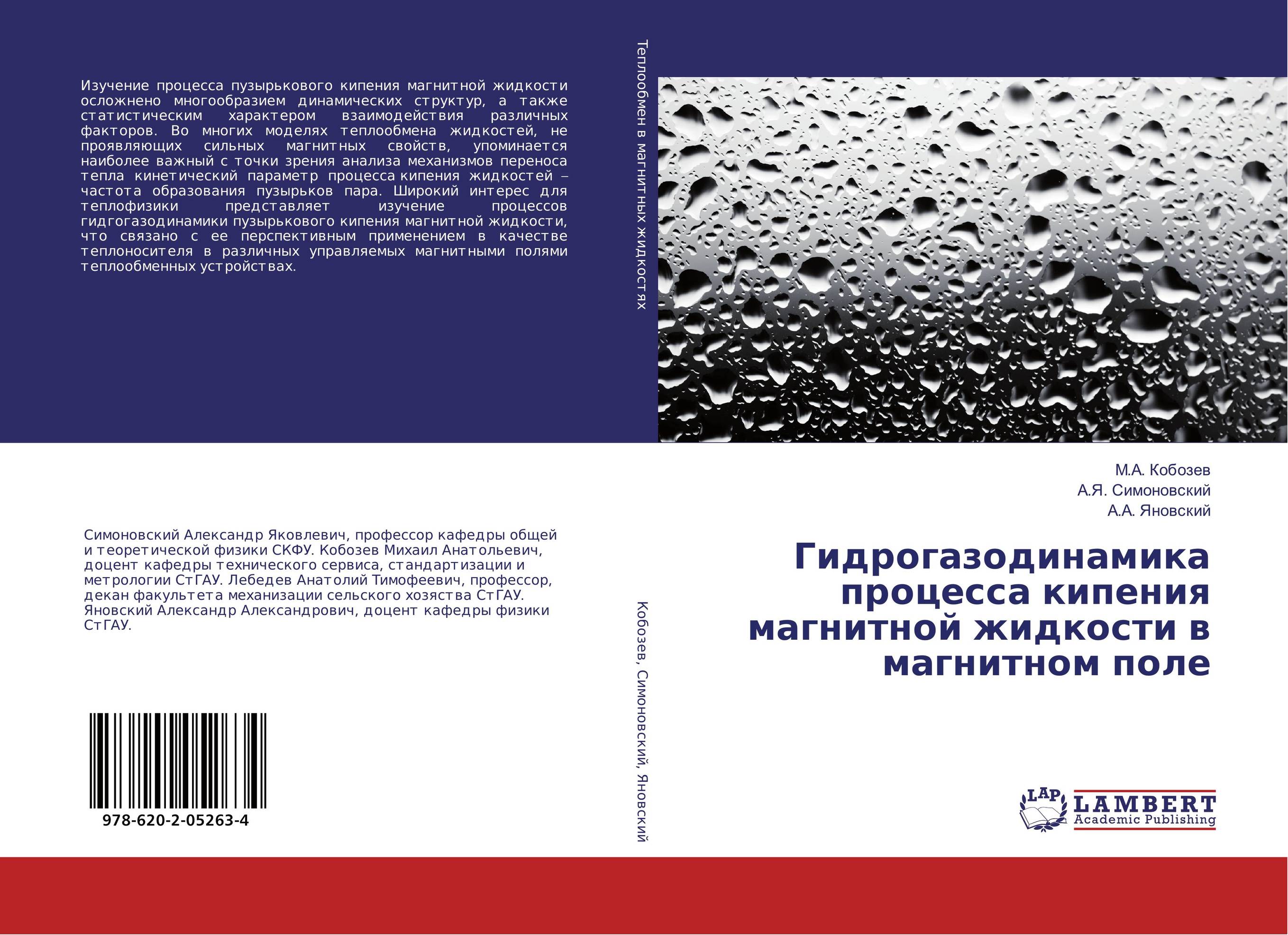 
        Гидрогазодинамика процесса кипения магнитной жидкости в магнитном поле..
      