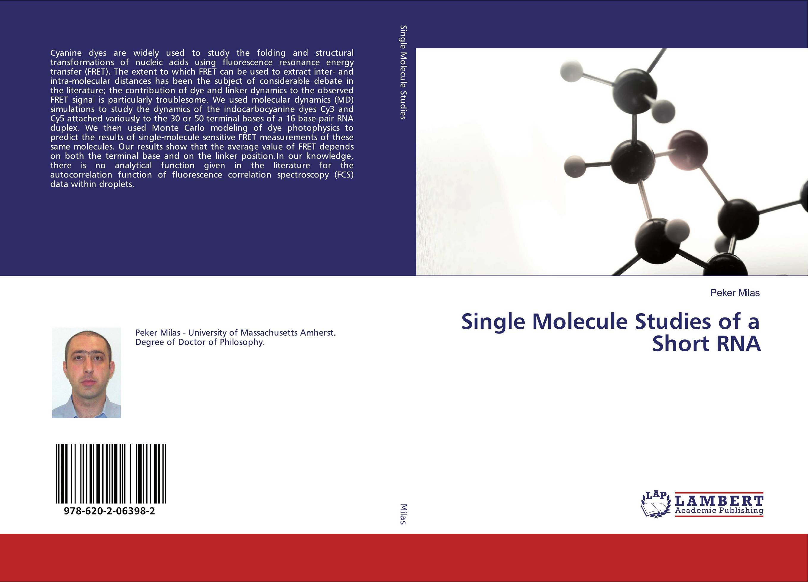 Single Molecule Studies of a Short RNA..