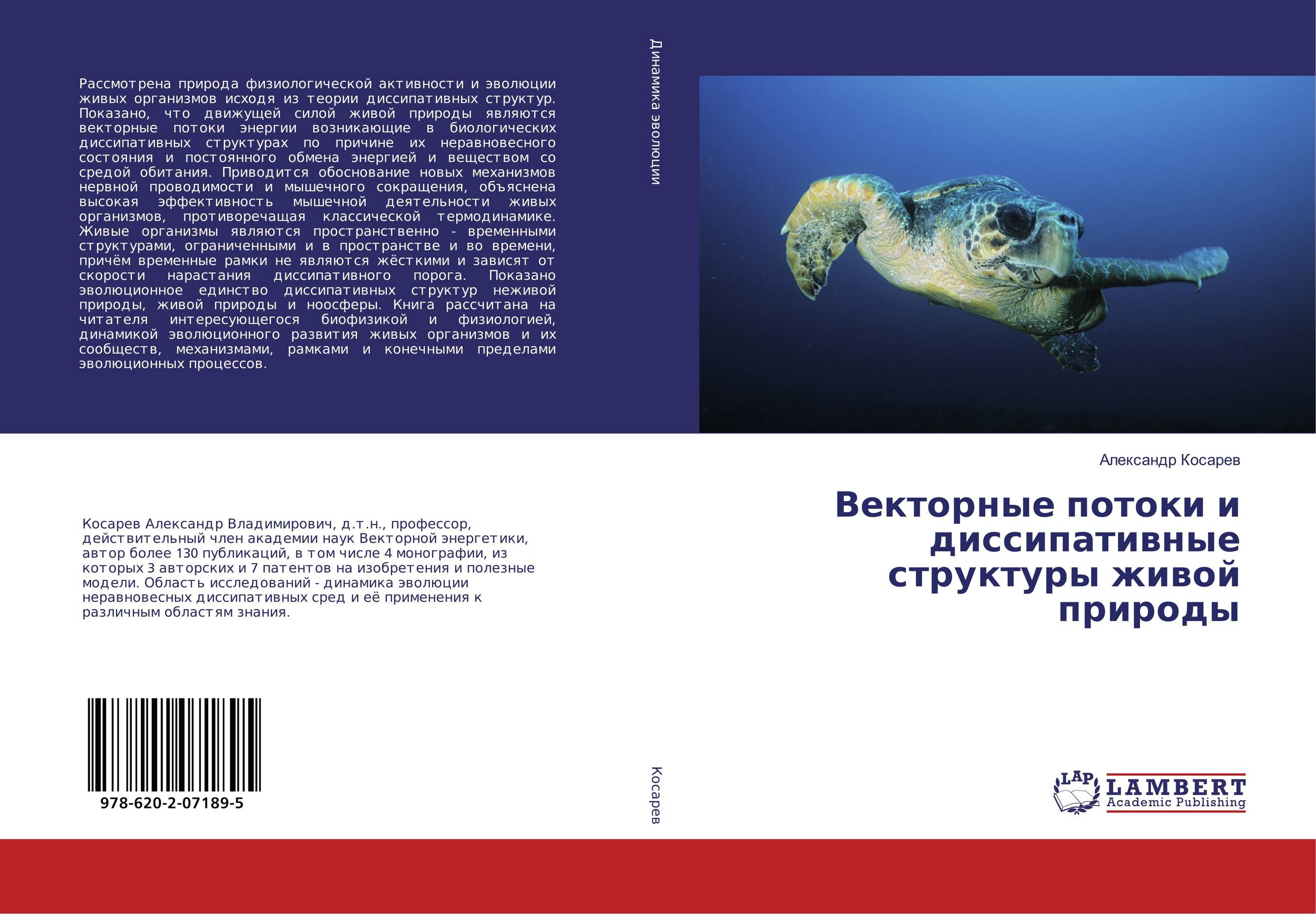 Векторные потоки и диссипативные структуры живой природы..