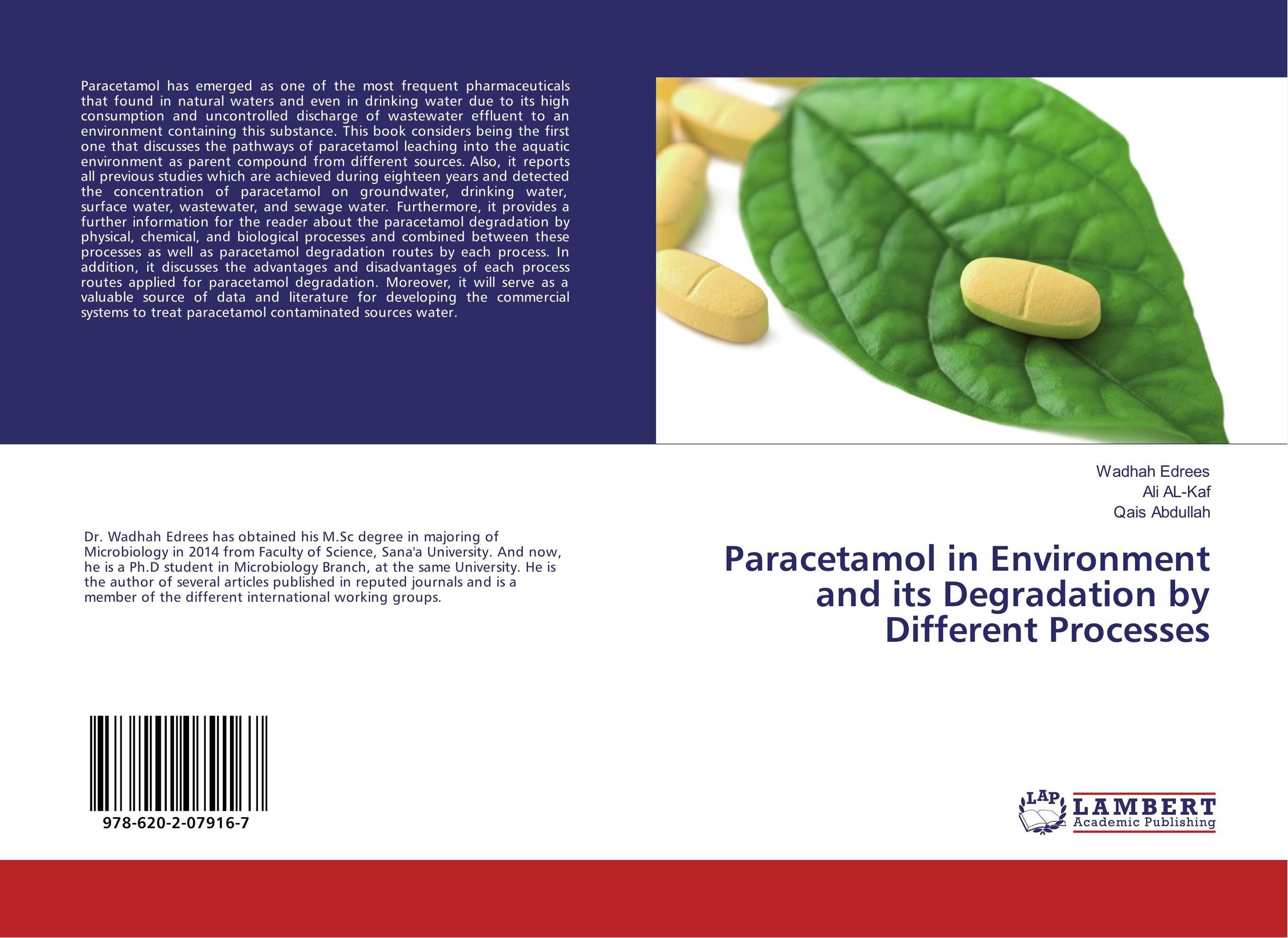 Paracetamol in Environment and its Degradation by Different Processes..