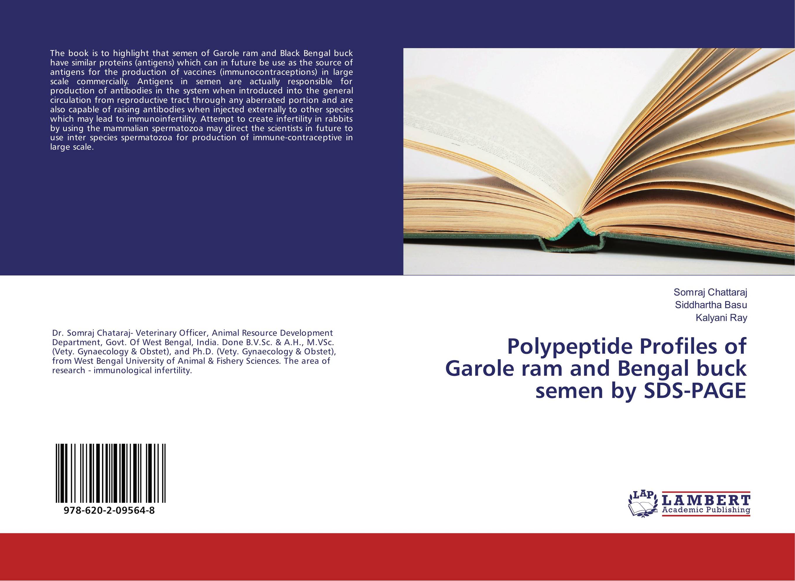 Polypeptide Profiles of Garole ram and Bengal buck semen by SDS-PAGE..