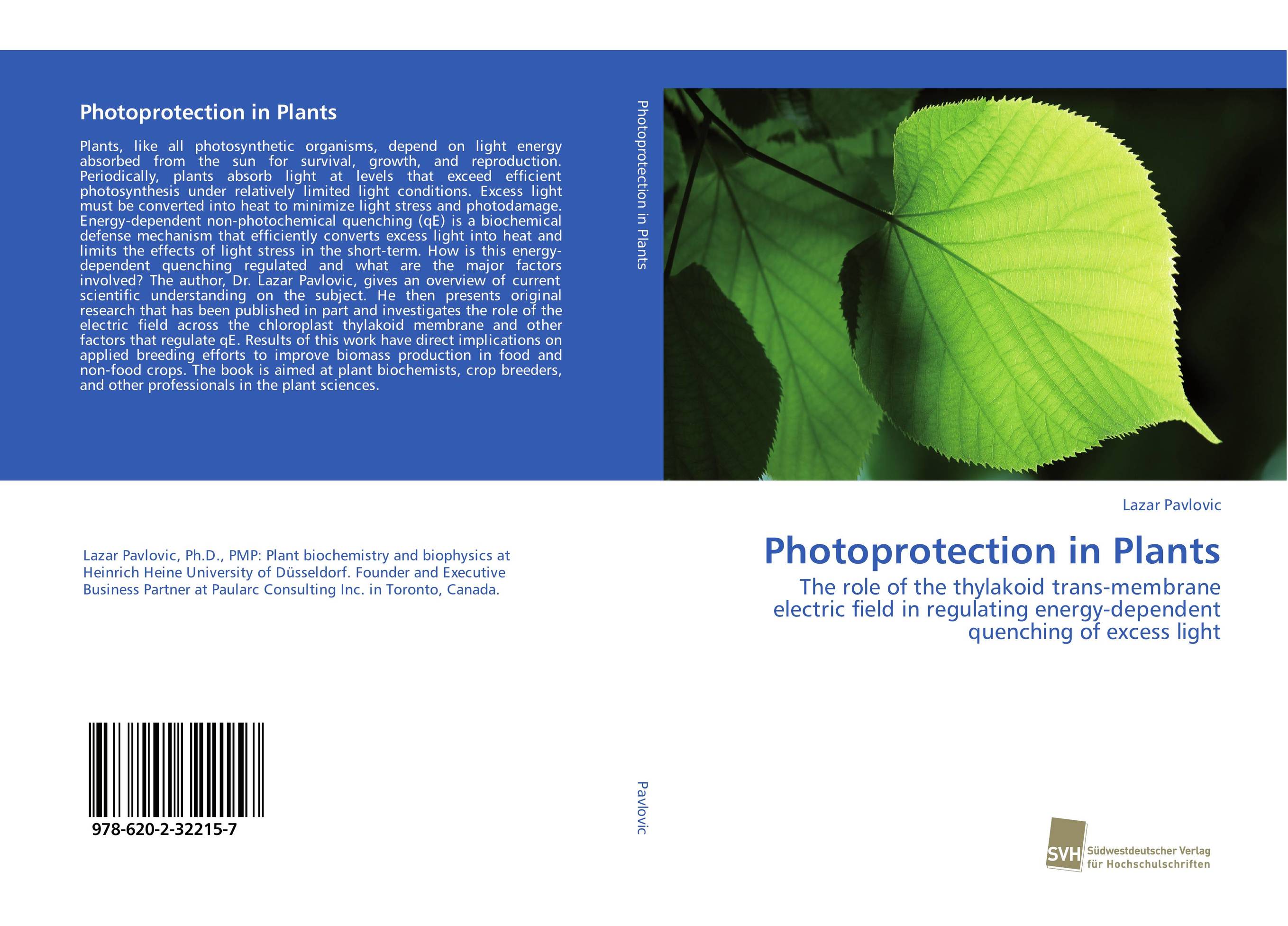 Photoprotection in Plants. The role of the thylakoid trans-membrane electric field in regulating energy-dependent quenching of excess light.