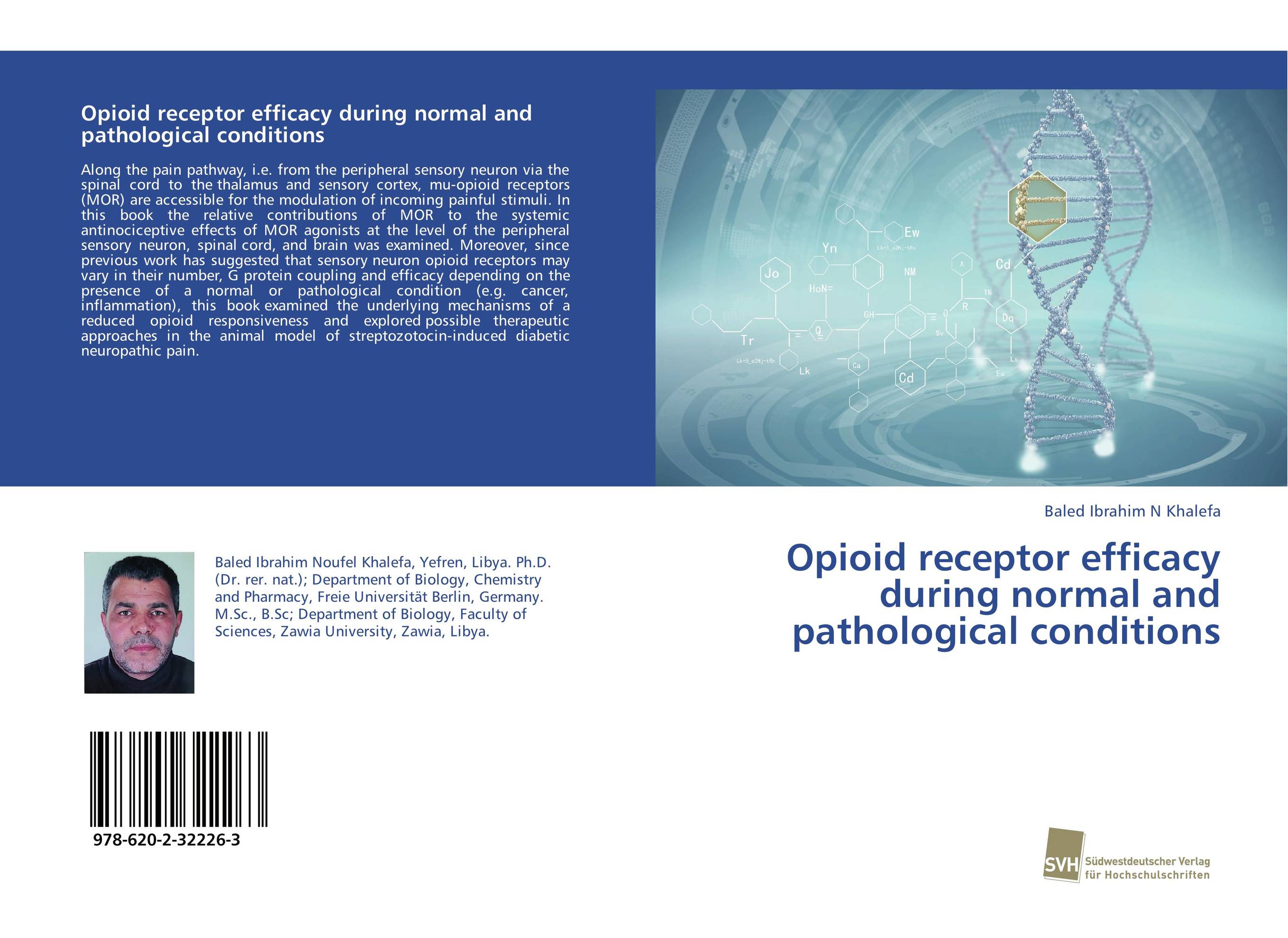 Opioid receptor efficacy during normal and pathological conditions..