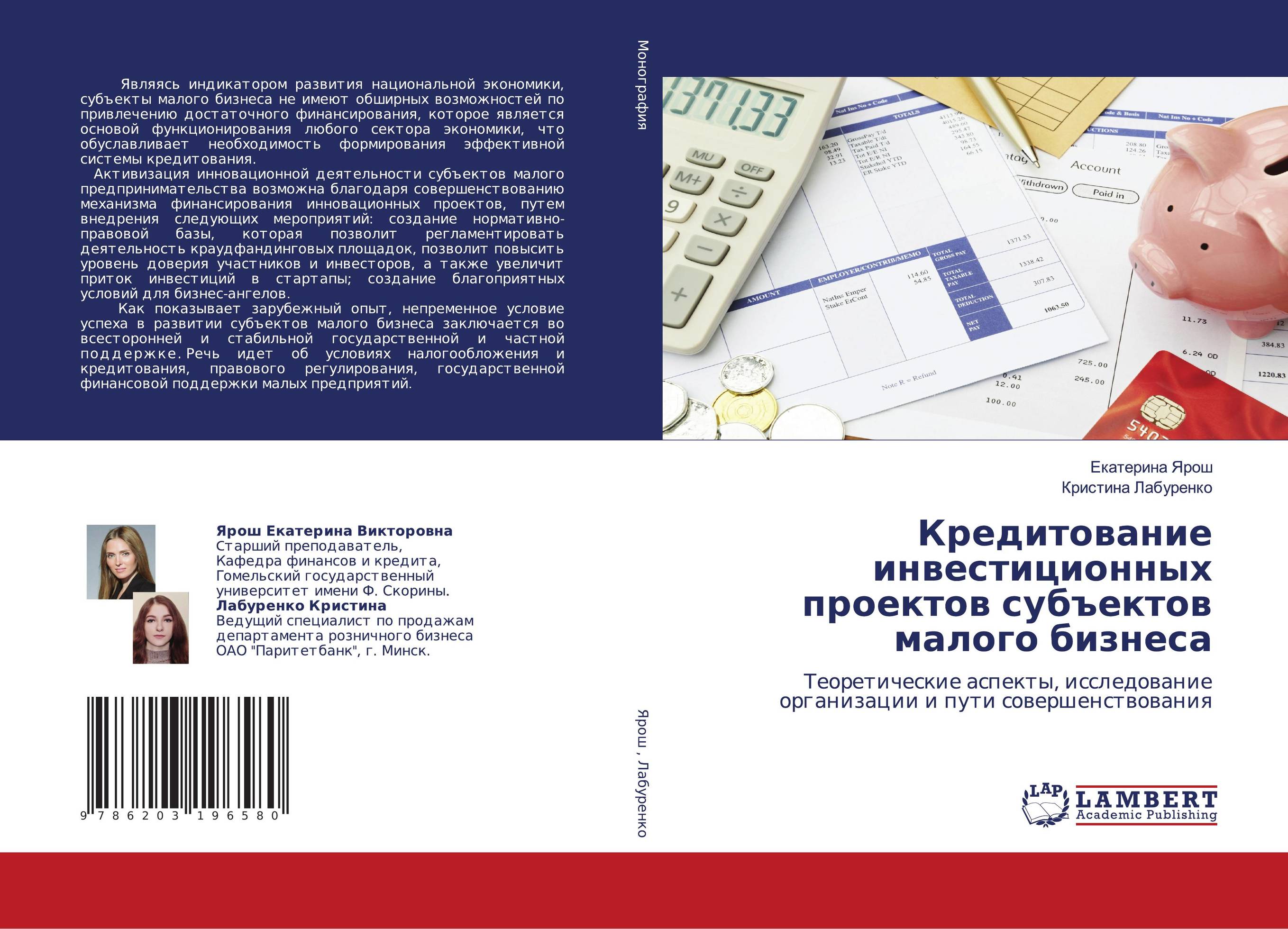 Кредитование инвестиционных проектов субъектов малого бизнеса. Теоретические аспекты, исследование организации и пути совершенствования.